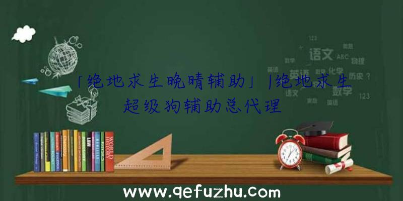 「绝地求生晚晴辅助」|绝地求生超级狗辅助总代理